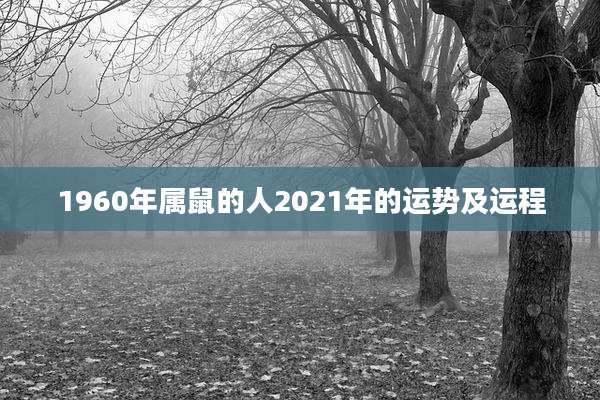 1960年属鼠的人2021年的运势及运程