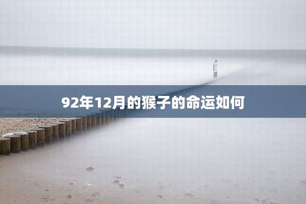 92年12月的猴子的命运如何