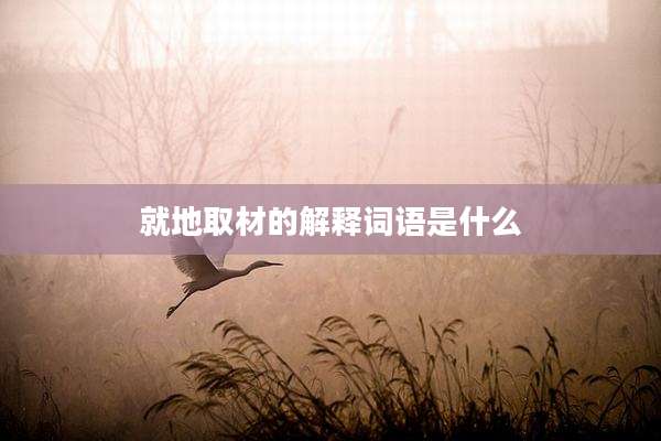 就地取材的解释词语是什么