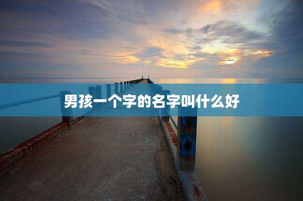 男孩一个字的名字叫什么好