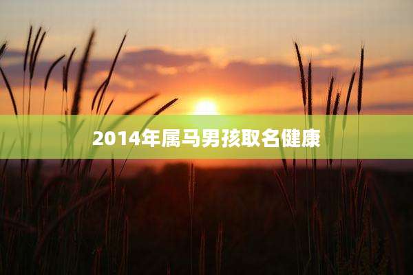 2014年属马男孩取名健康