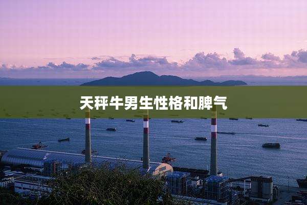 天秤牛男生性格和脾气