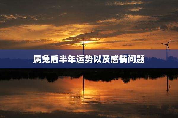 属兔后半年运势以及感情问题