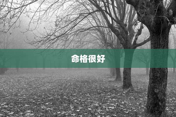 命格很好