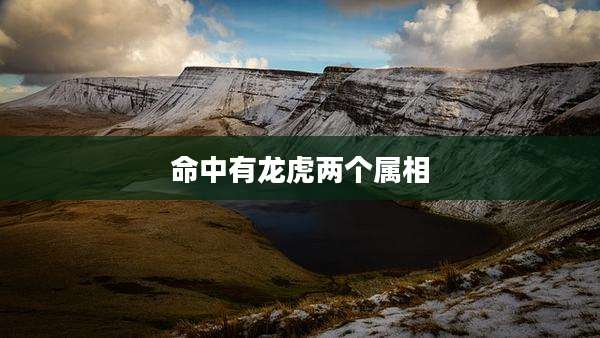 命中有龙虎两个属相
