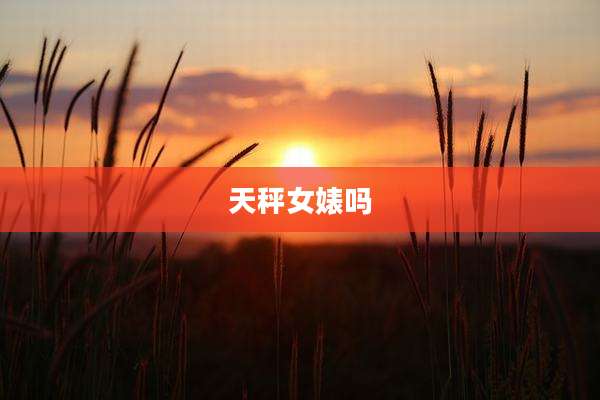 天秤女婊吗