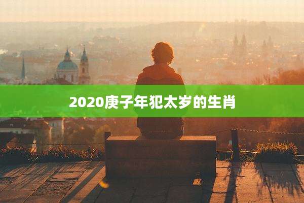 2020庚子年犯太岁的生肖