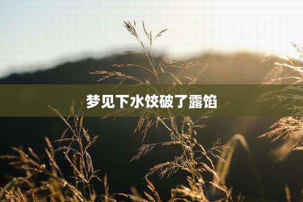 梦见下水饺破了露馅