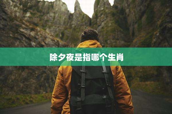 除夕夜是指哪个生肖