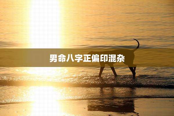 男命八字正偏印混杂