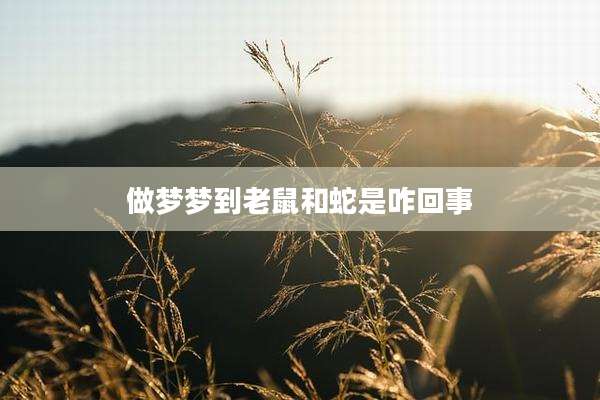 做梦梦到老鼠和蛇是咋回事
