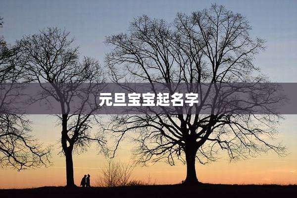 元旦宝宝起名字