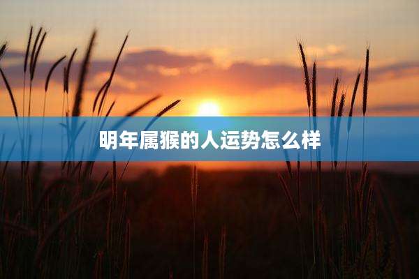 明年属猴的人运势怎么样
