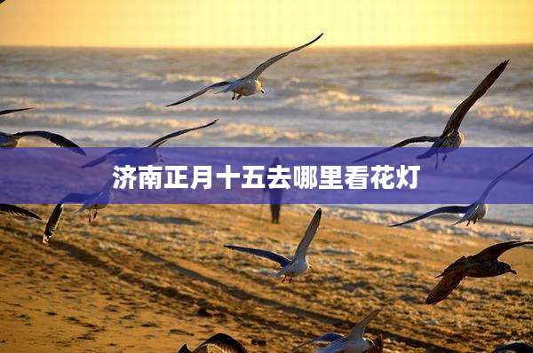 济南正月十五去哪里看花灯