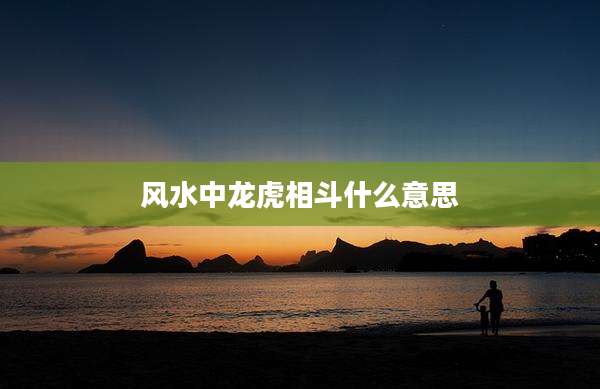 风水中龙虎相斗什么意思