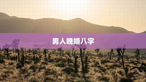 男人晚婚八字