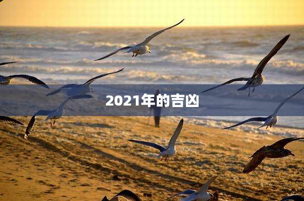 2021年的吉凶