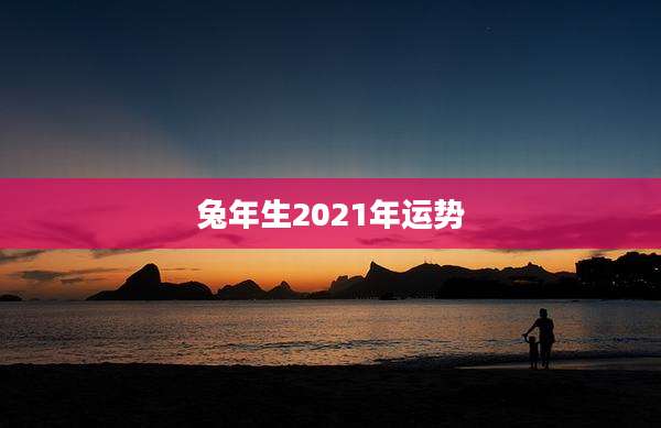 兔年生2021年运势