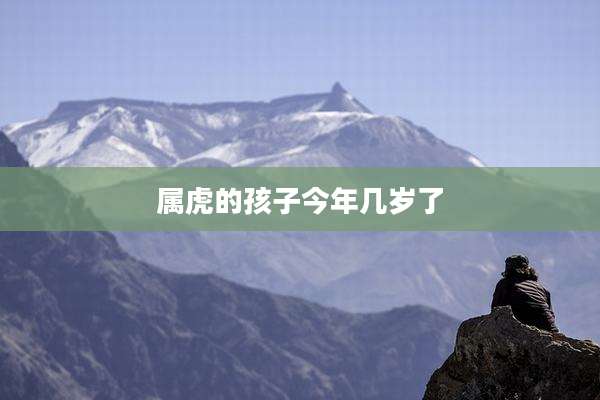 属虎的孩子今年几岁了