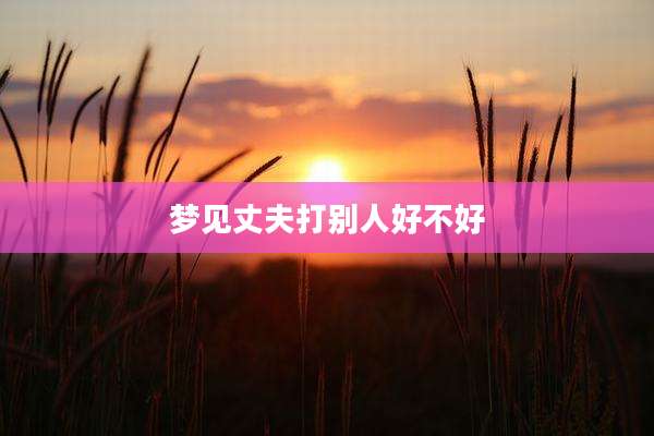 梦见丈夫打别人好不好