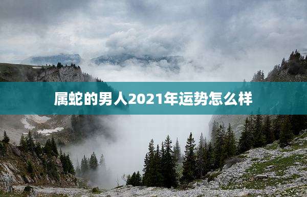 属蛇的男人2021年运势怎么样