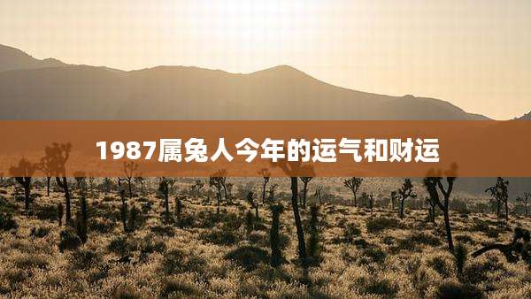 1987属兔人今年的运气和财运