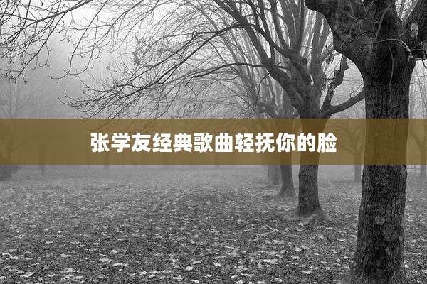 张学友经典歌曲轻抚你的脸
