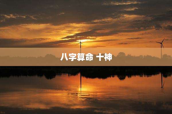 八字算命 十神