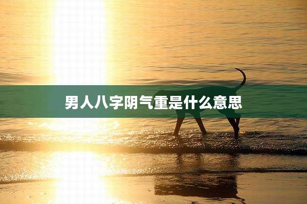 男人八字阴气重是什么意思