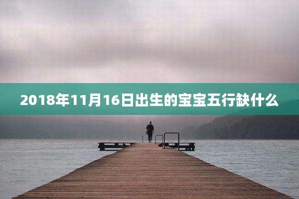 2018年11月16日出生的宝宝五行缺什么
