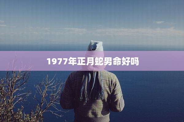 1977年正月蛇男命好吗