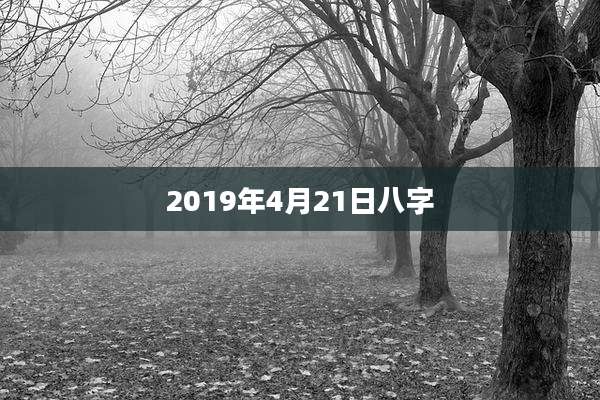 2019年4月21日八字