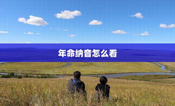 年命纳音怎么看