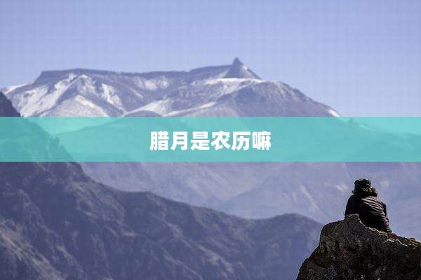 腊月是农历嘛