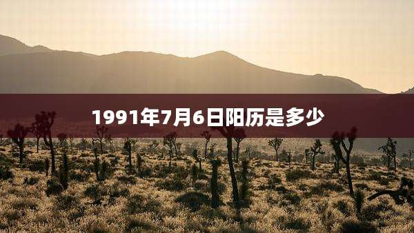 1991年7月6日阳历是多少