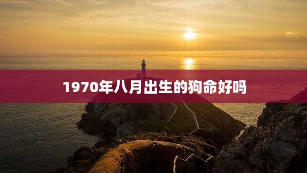 1970年八月出生的狗命好吗