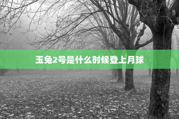 玉兔2号是什么时候登上月球