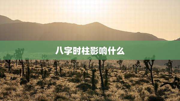 八字时柱影响什么