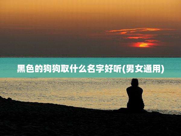 黑色的狗狗取什么名字好听(男女通用)