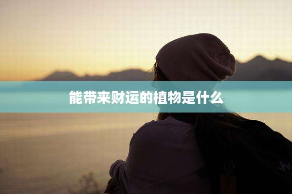 能带来财运的植物是什么