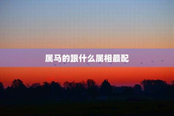 属马的跟什么属相最配