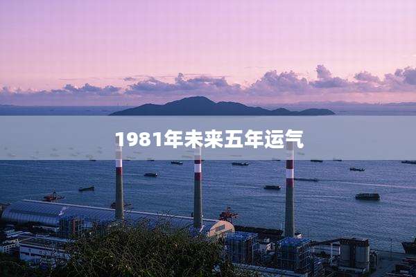 1981年未来五年运气