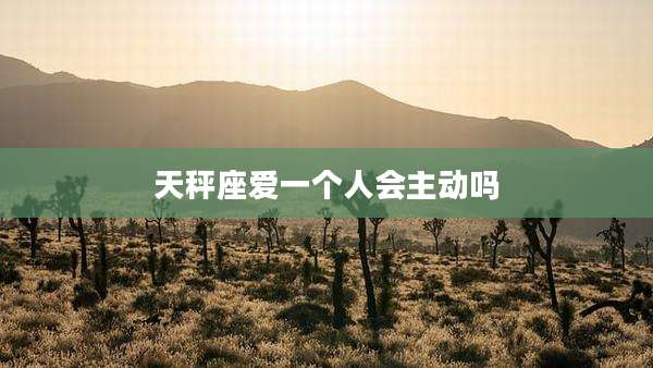 天秤座爱一个人会主动吗