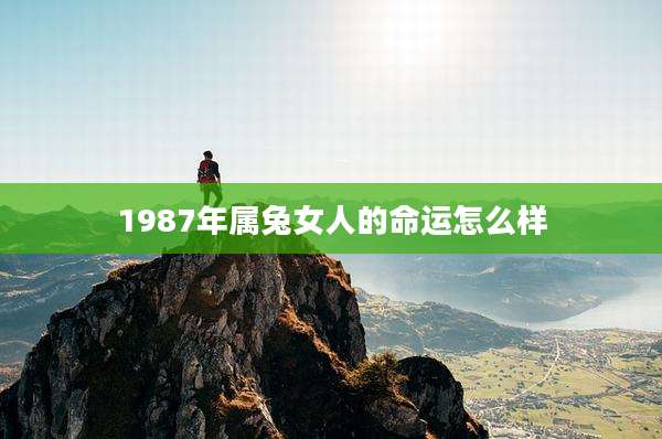 1987年属兔女人的命运怎么样