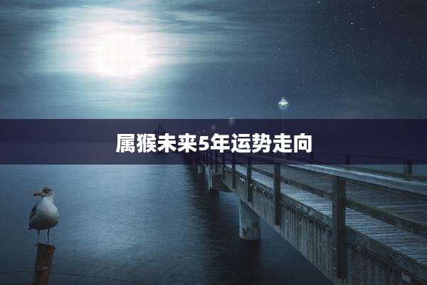 属猴未来5年运势走向