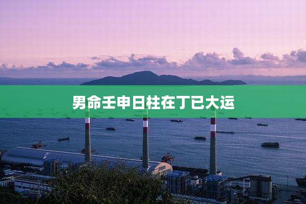 男命壬申日柱在丁已大运