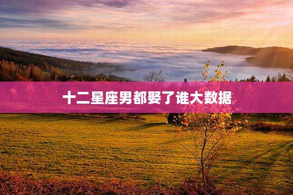 十二星座男都娶了谁大数据