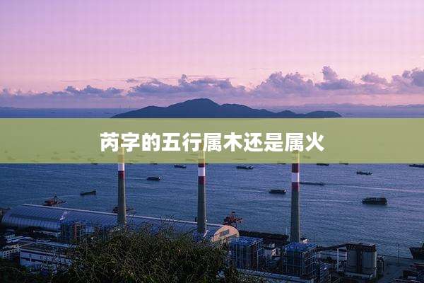 芮字的五行属木还是属火