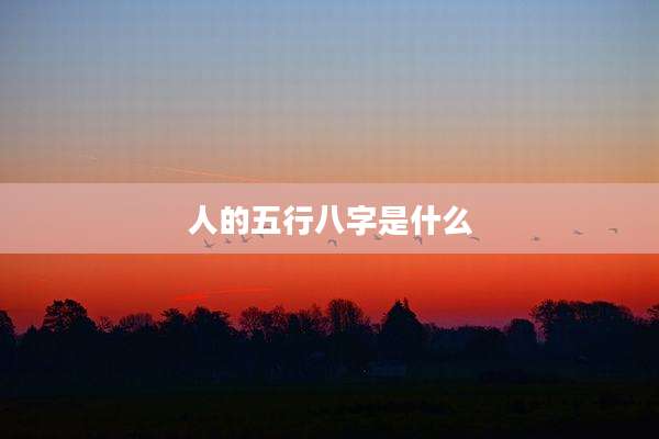 人的五行八字是什么