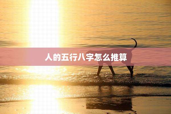 人的五行八字怎么推算